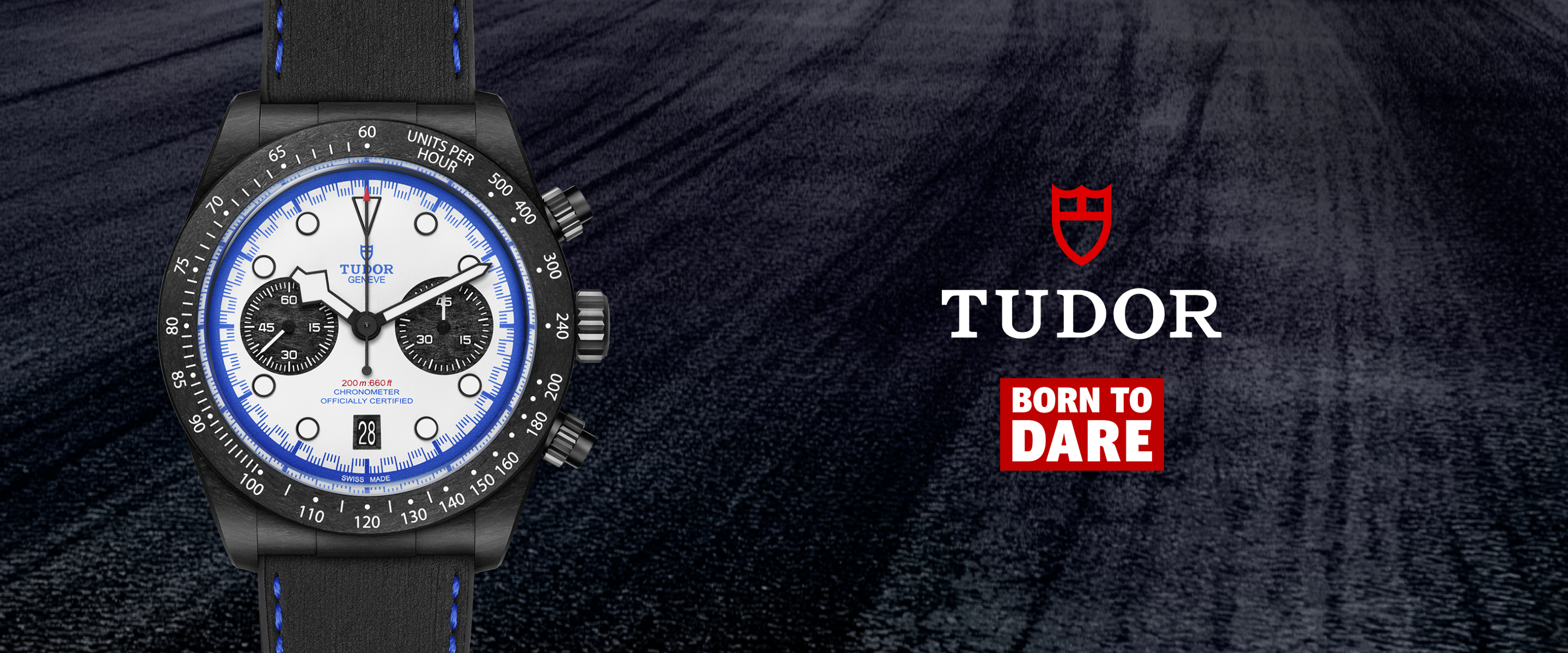 Tudor Banner (7)